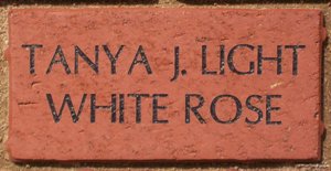 TANYA J. LIGHT WHITE ROSE