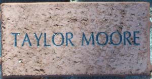 TAYLOR MOORE