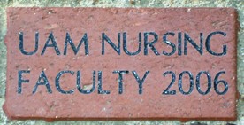 UAM NURSING FACULTY 2006