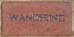 WANDERING