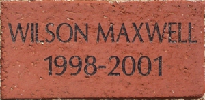 WILSON MAXWELL 1998-2001