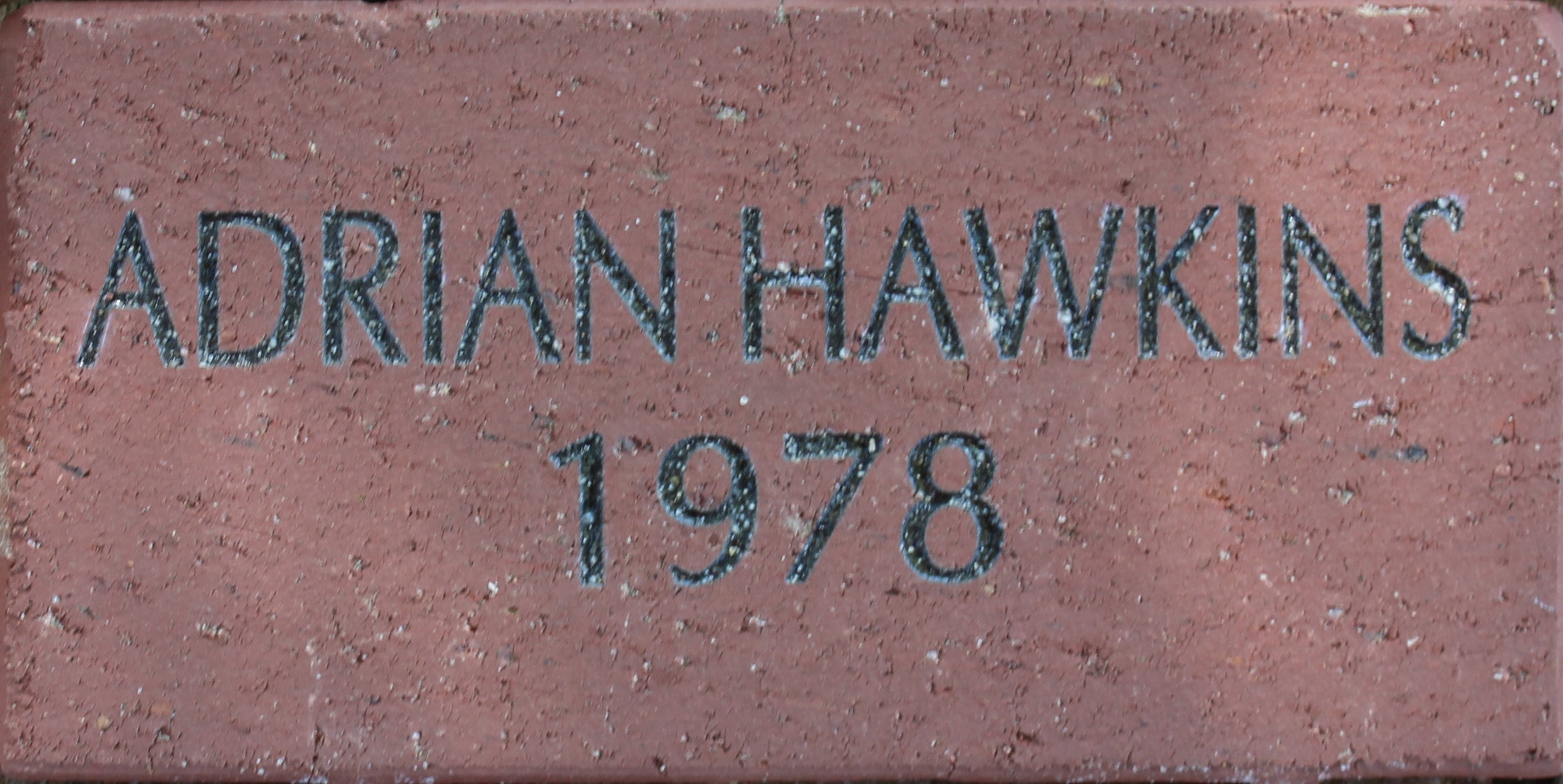 Adrian Hawkins 1978