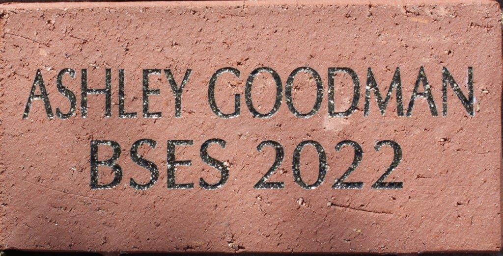 Ashley Goodman BSES 2022