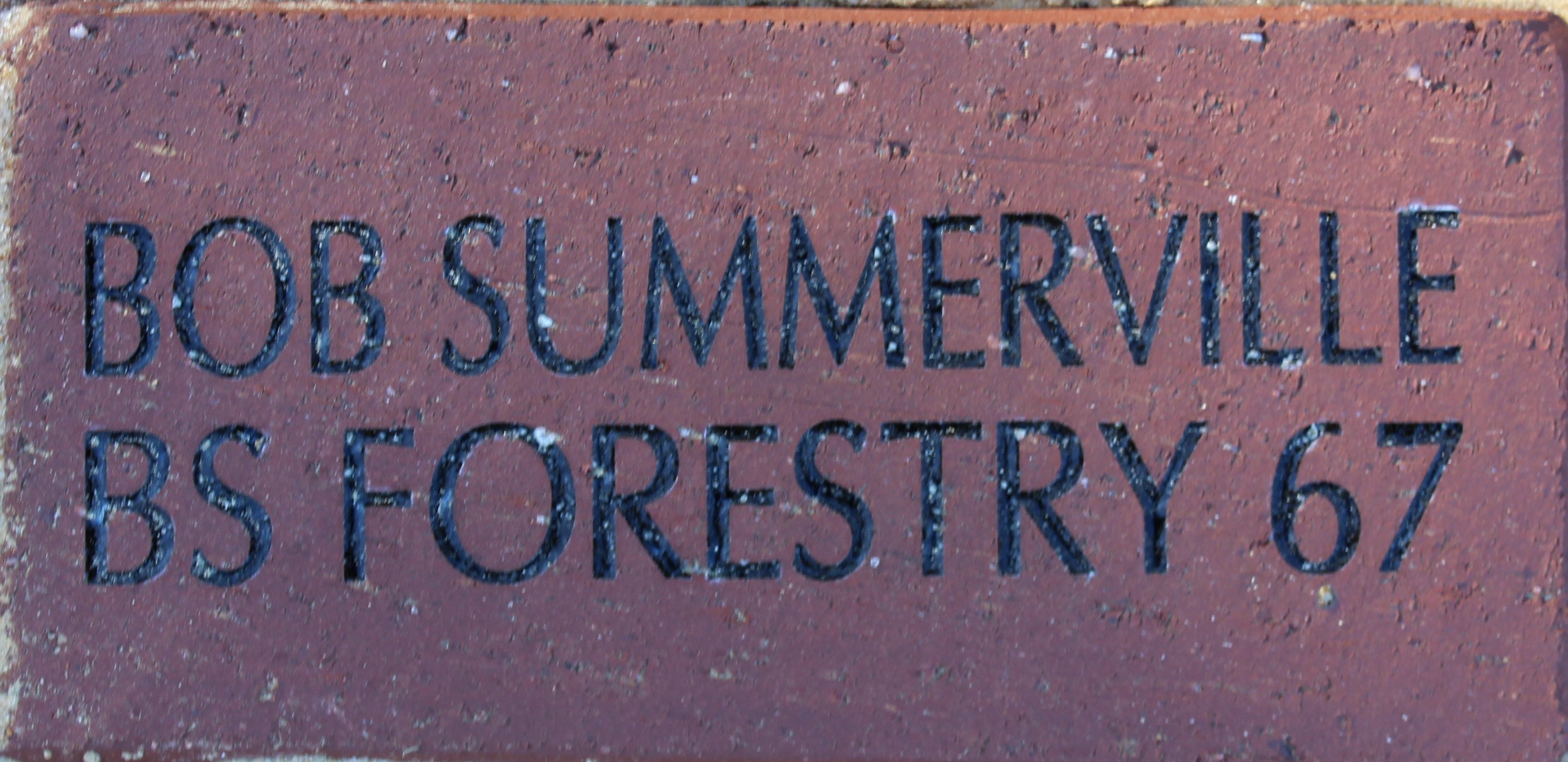 BOB SUMMERVILLE BS FORESTRY 67
