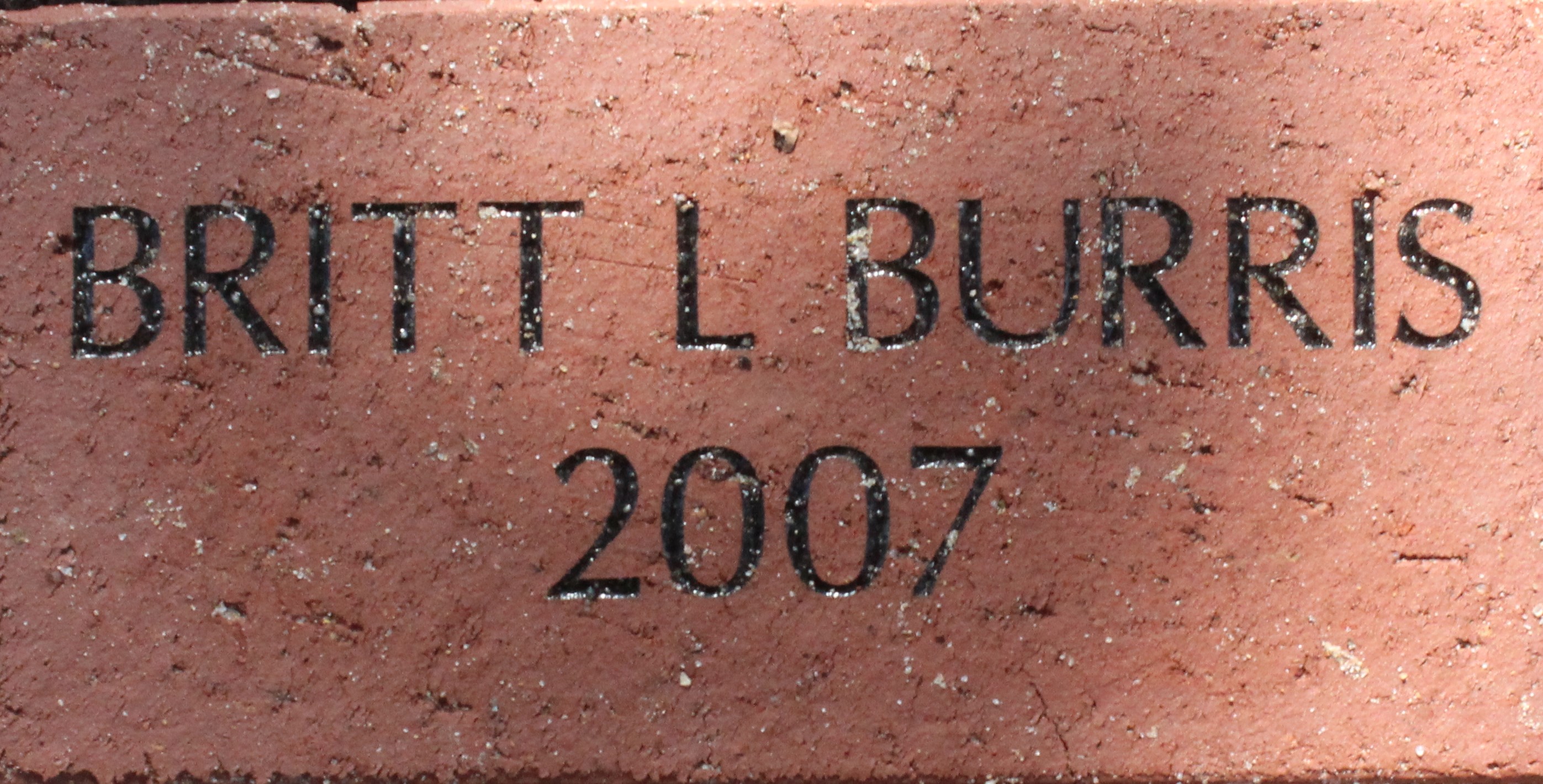 BRITT L BURRIS 2007
