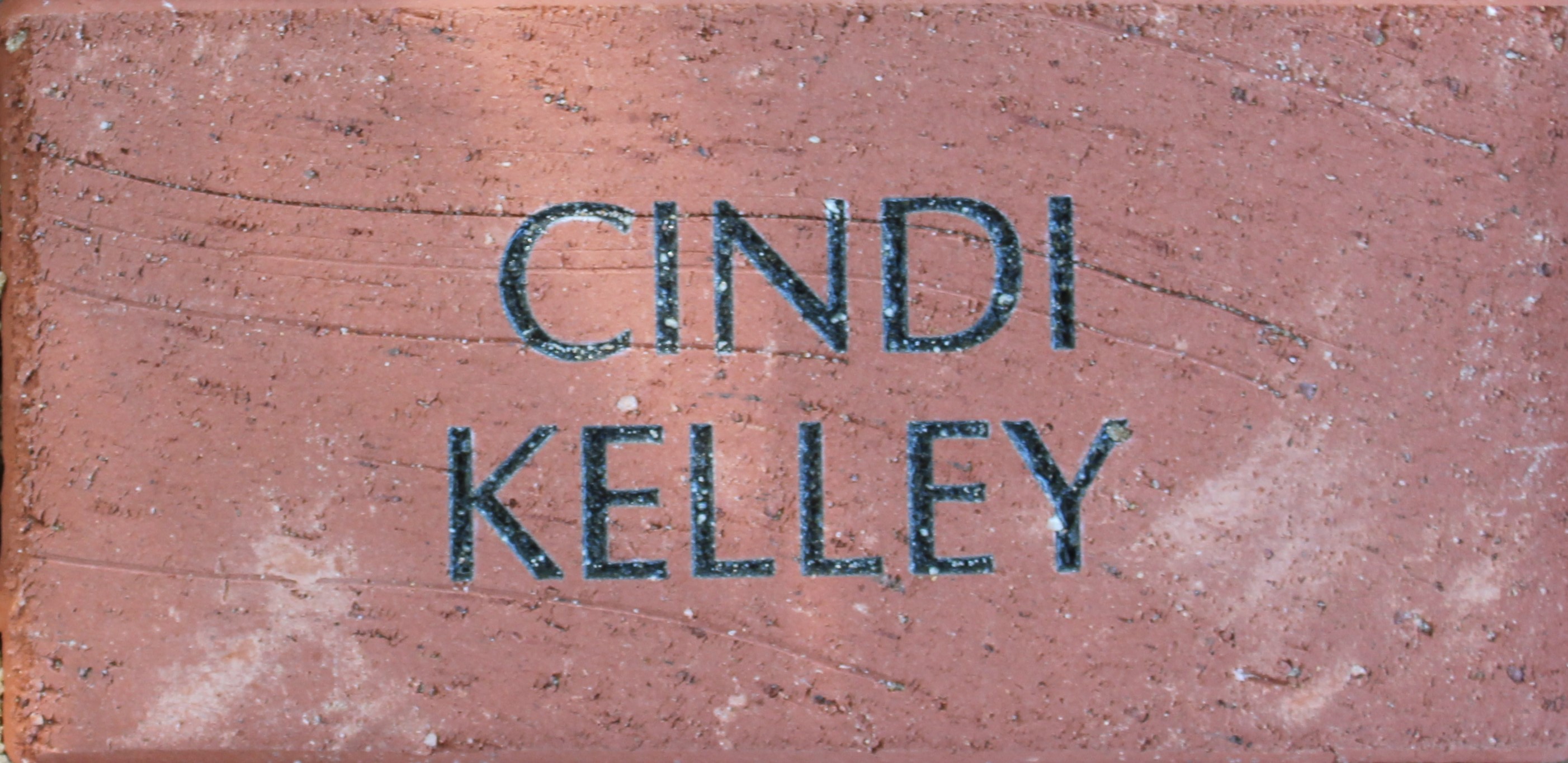 Cindi Kelley