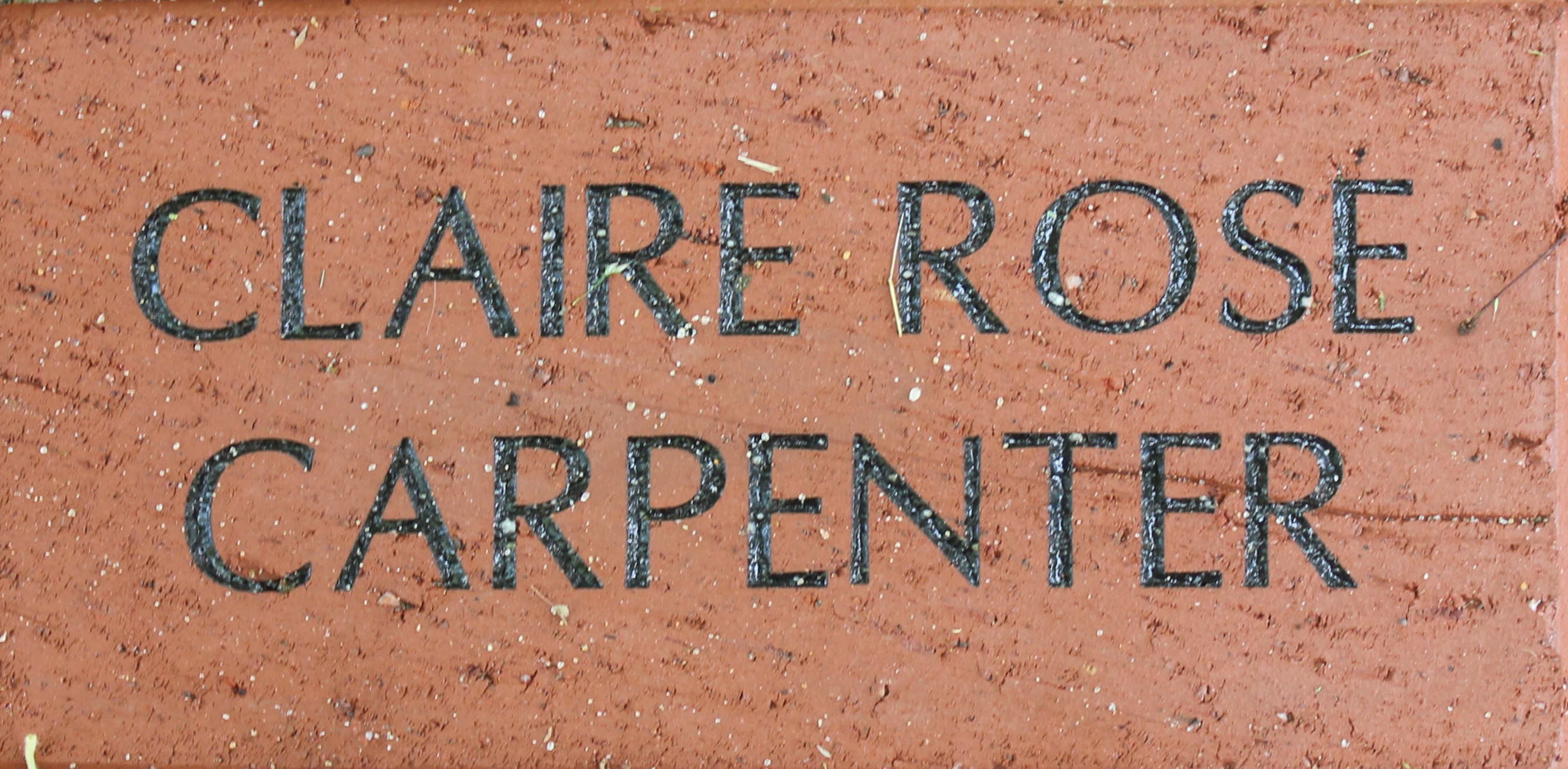 Claire Rose Carpenter