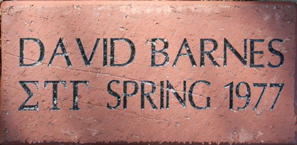 David Barnes 1977