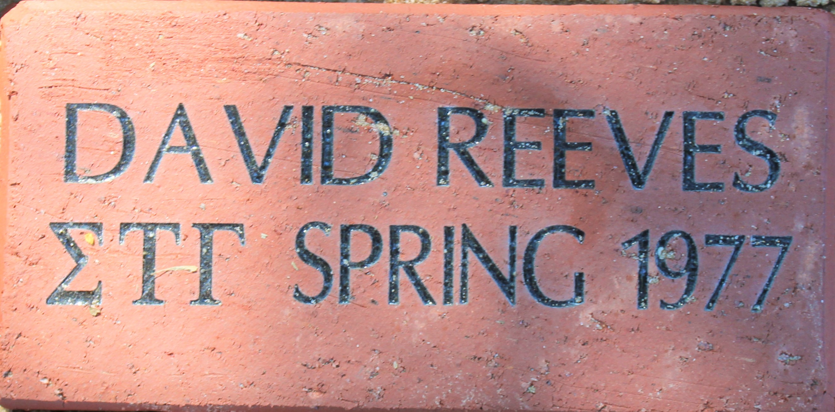 David Reeves 1977
