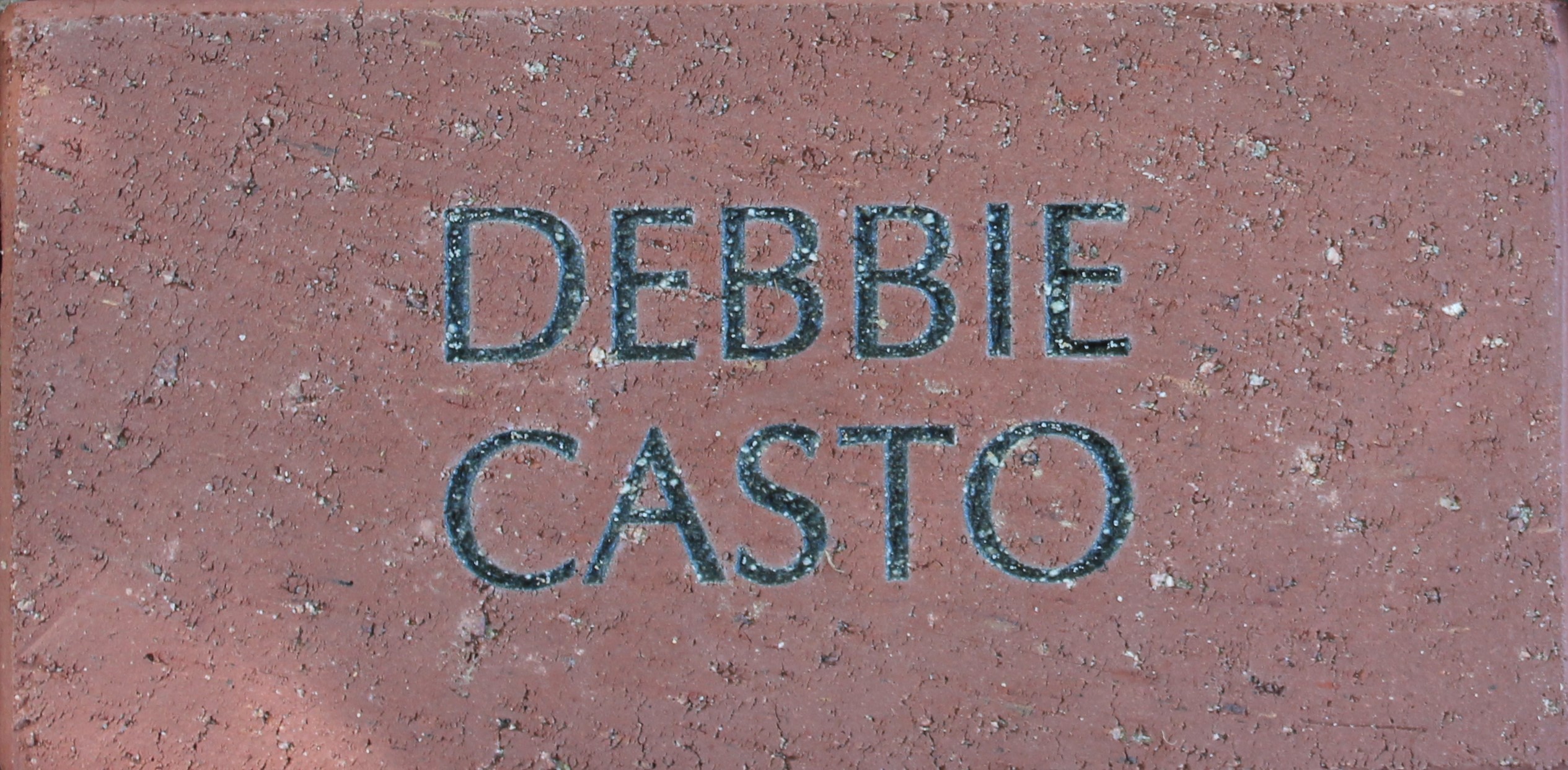 Debbie Casto