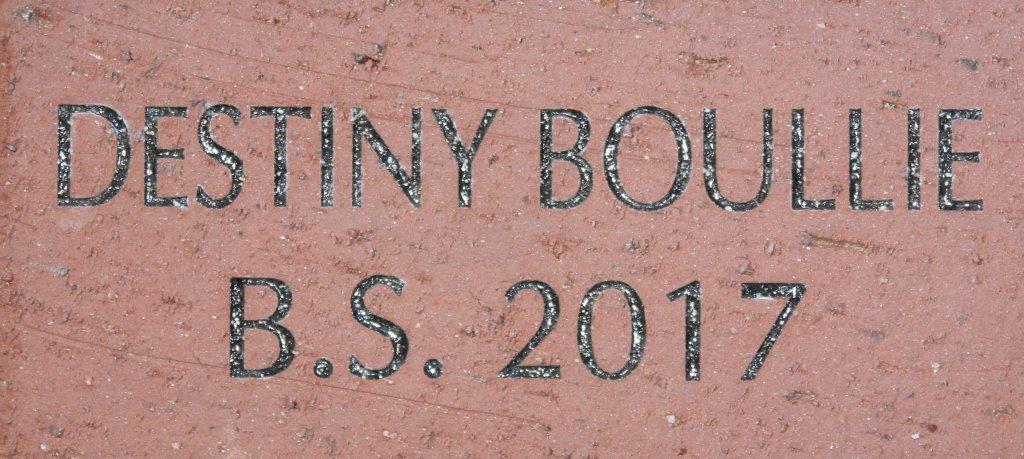 DESTINY BOULLIE
