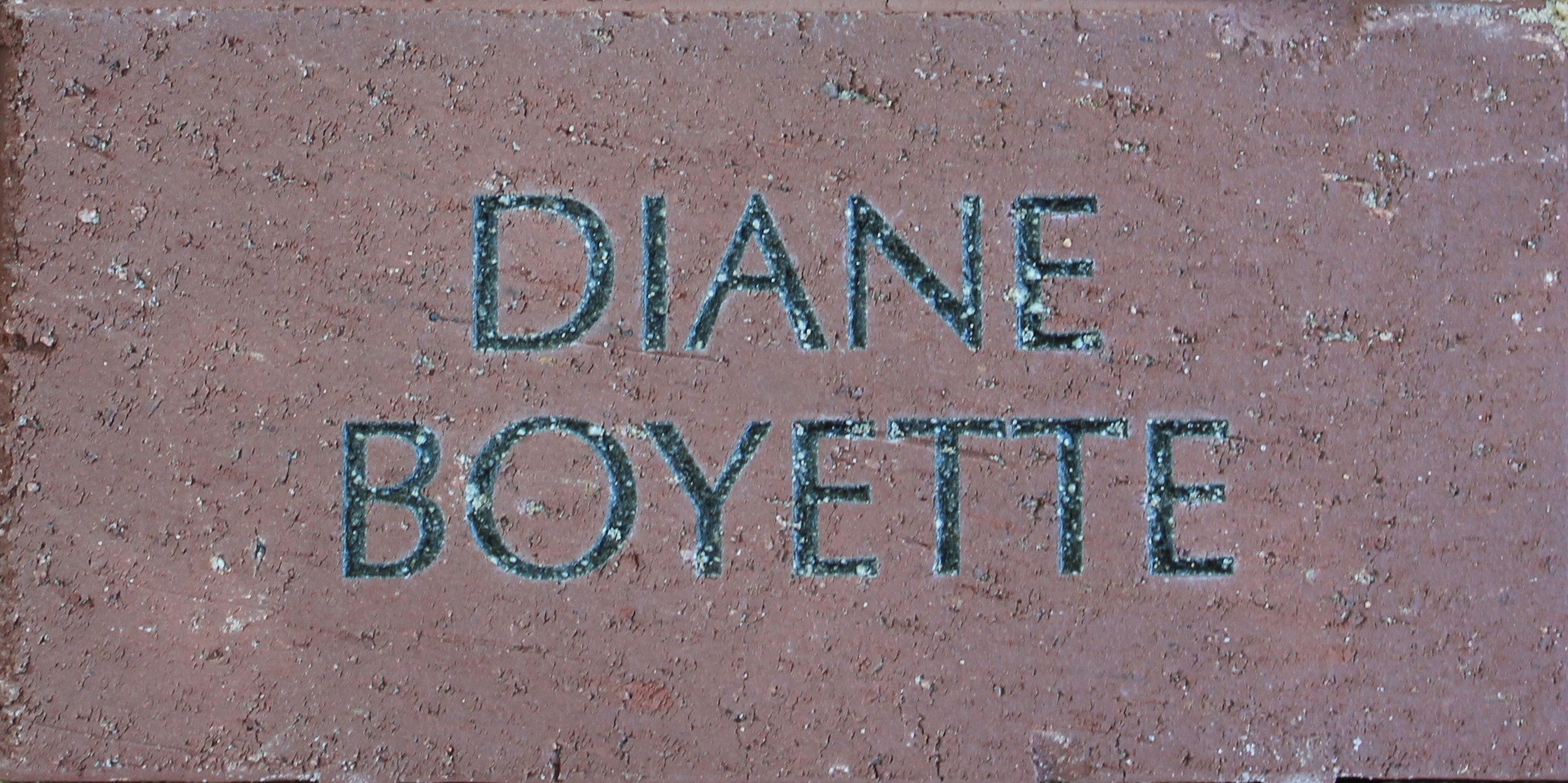 Diane Boyette
