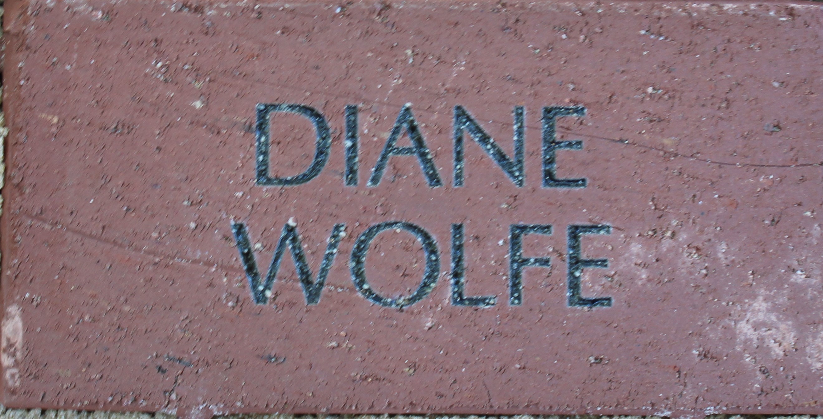 Diane Wolfe
