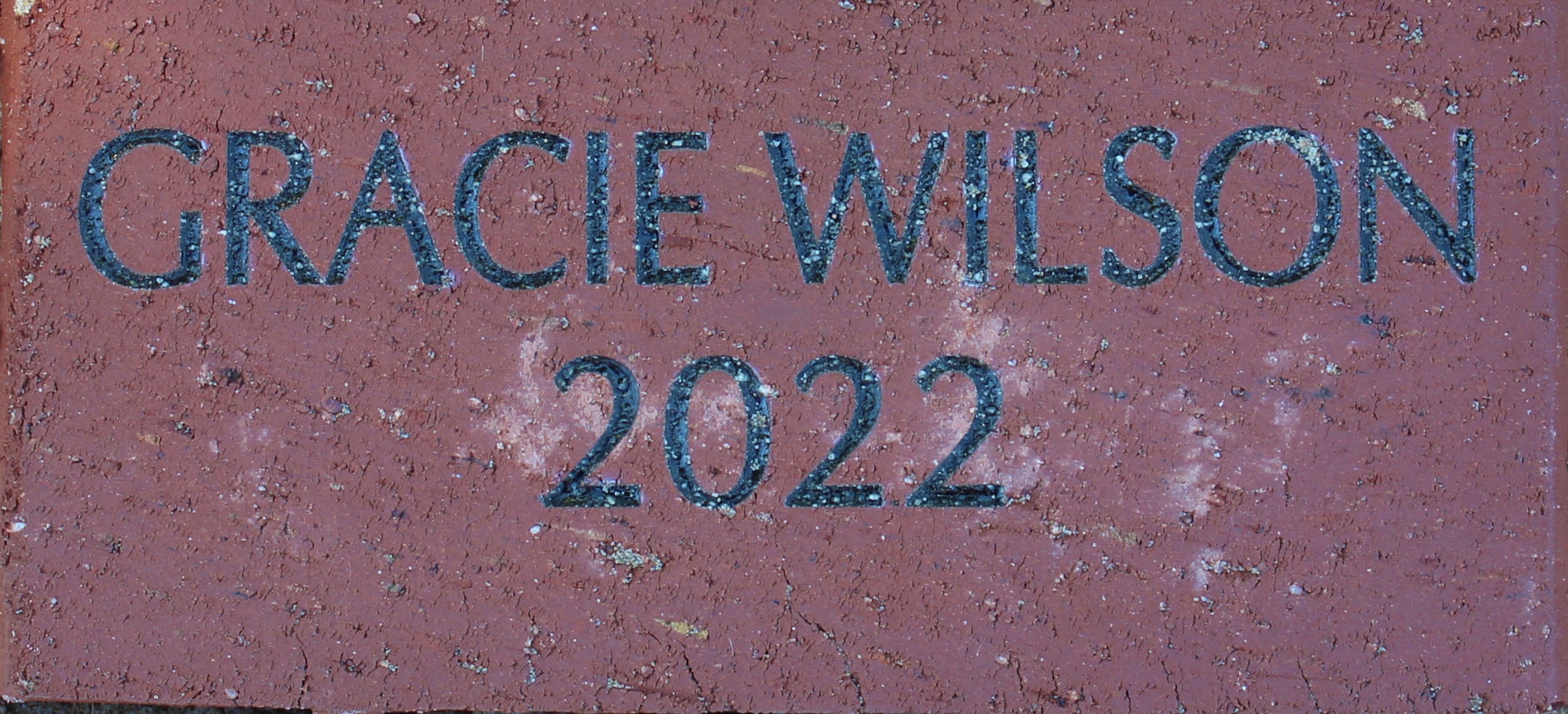 Gracie Wilson 2022