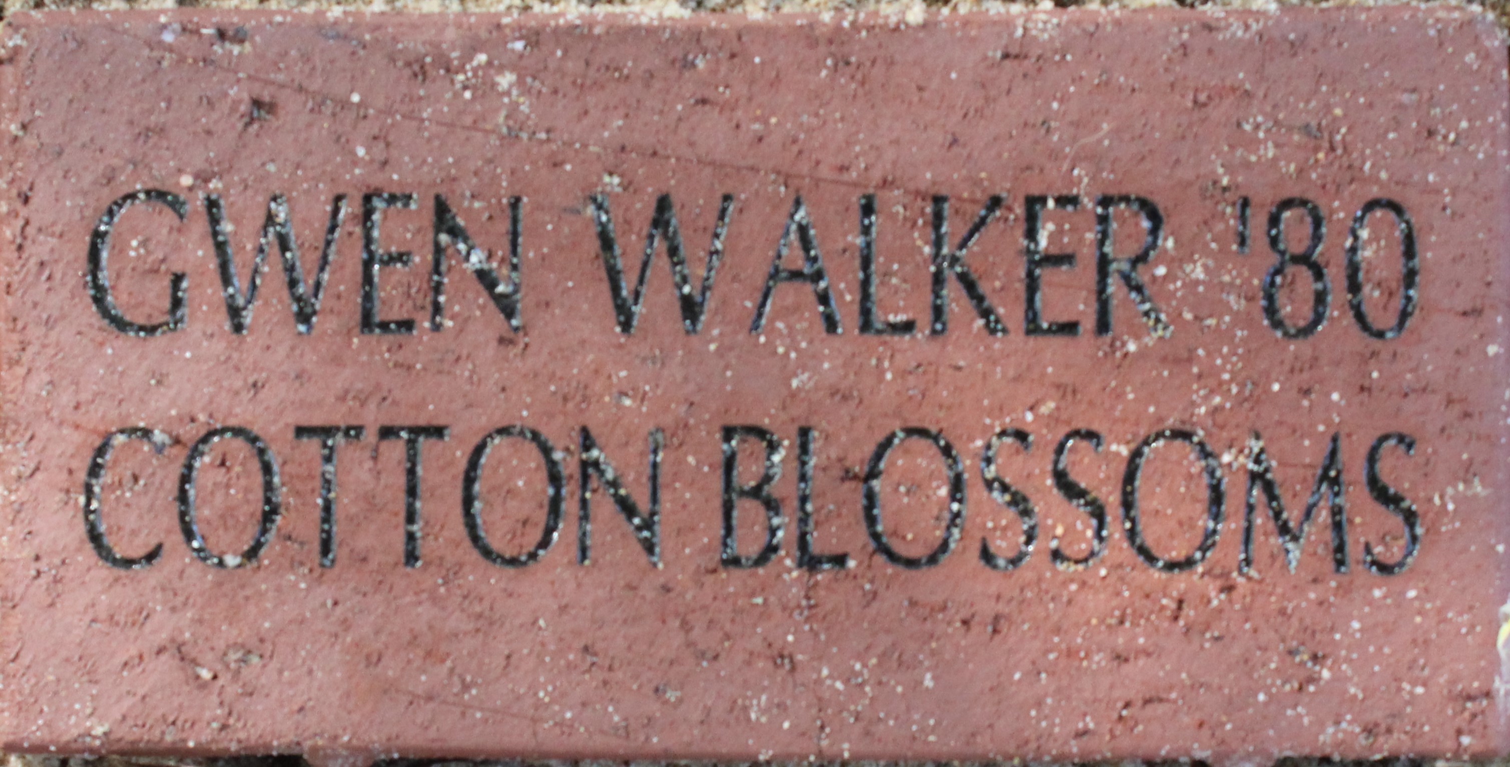 GWEN WALKER '80 COTTON BLOSSOMS