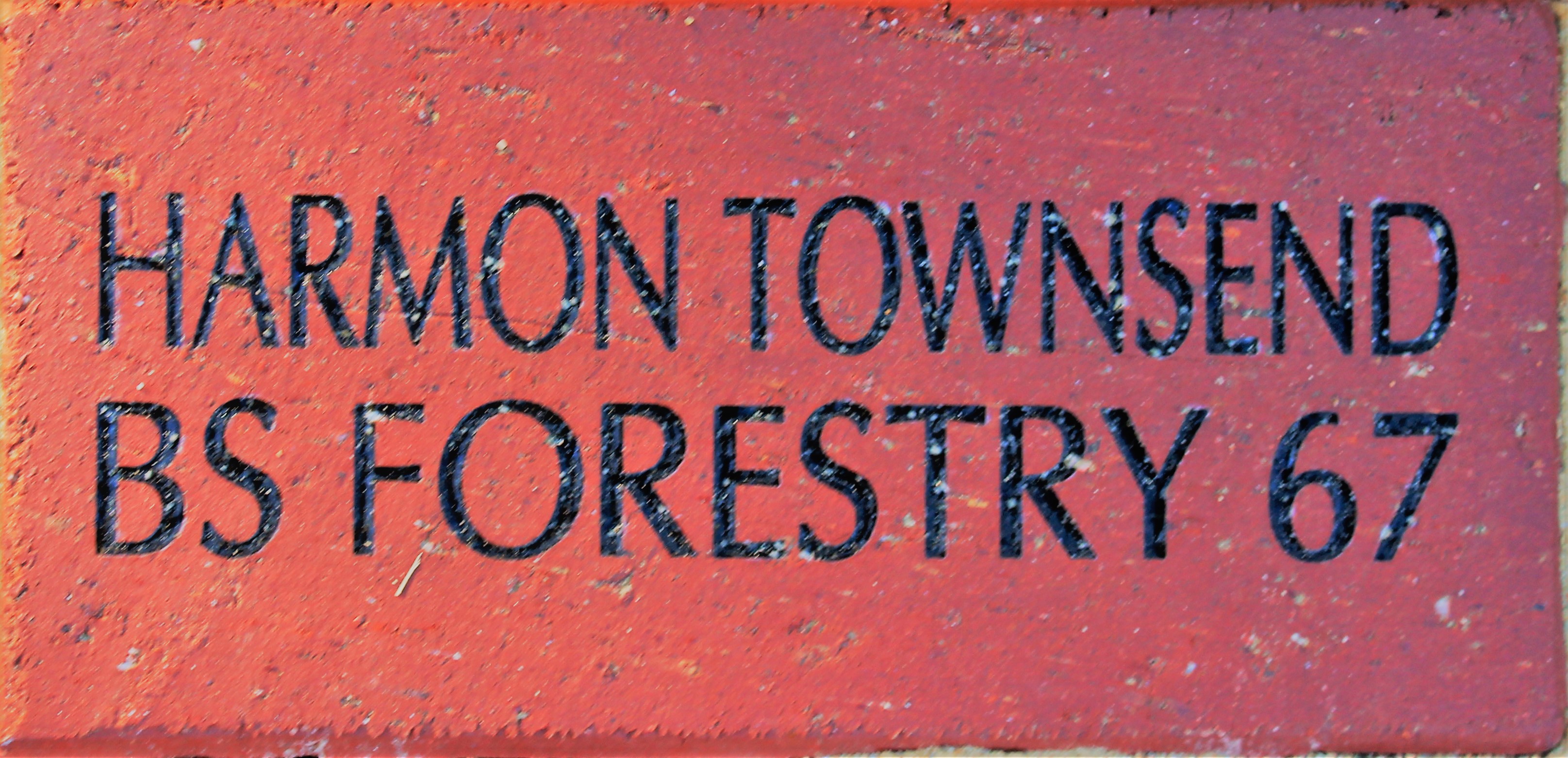 HARMON TOWNSEND BS FORESTRY 67