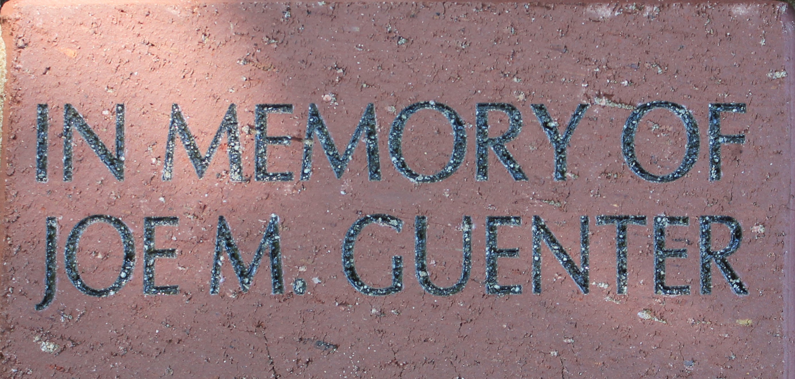 Memory of Joe Guenter