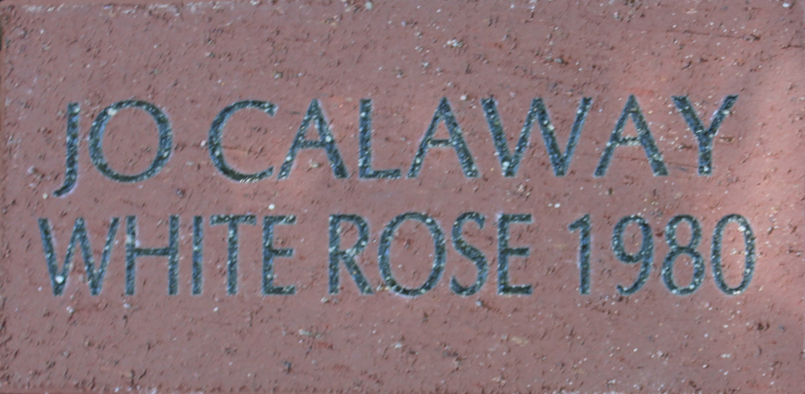 Jo Calaway White Rose 1980