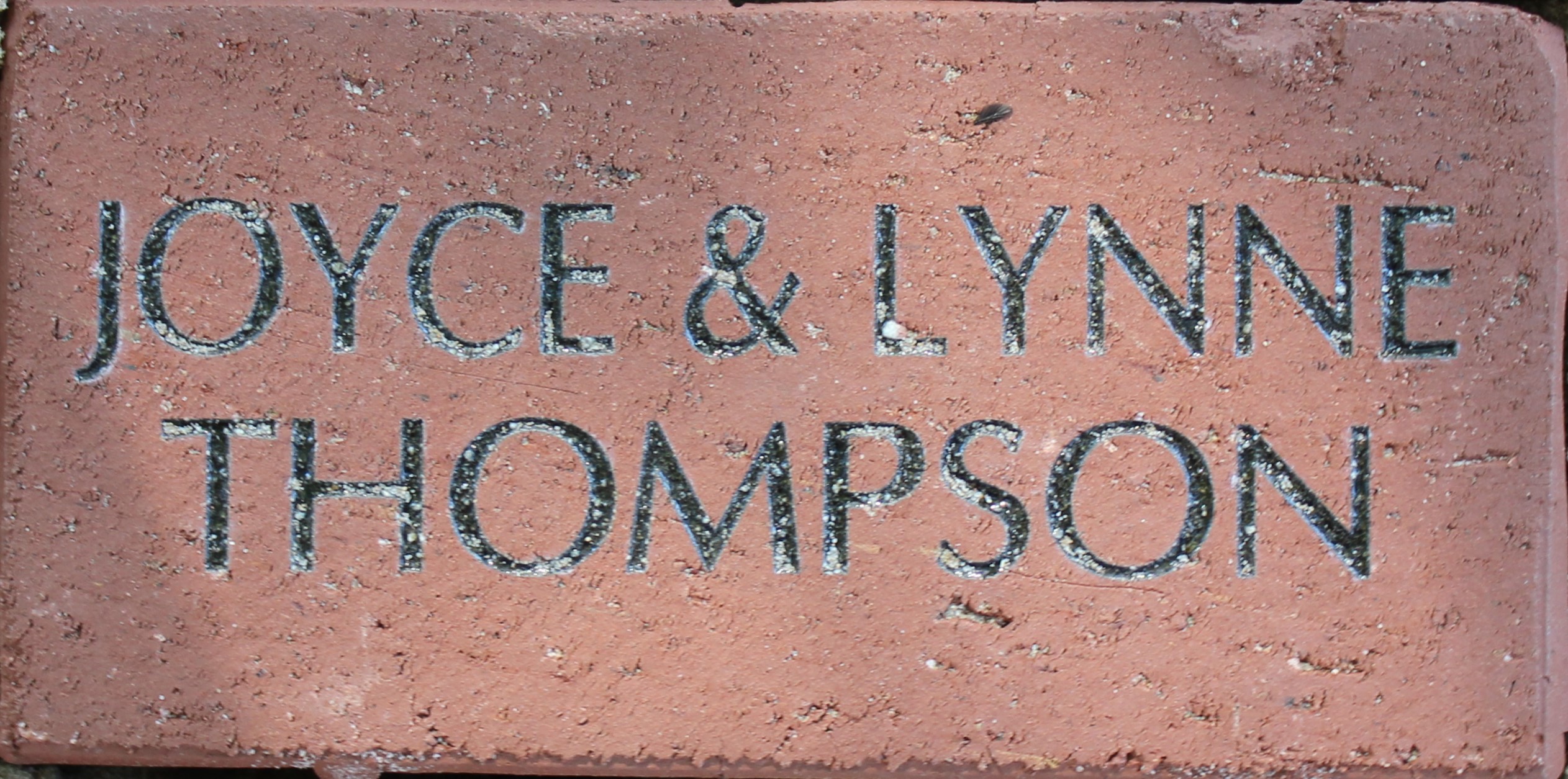 Joyce and Lynn Thompson