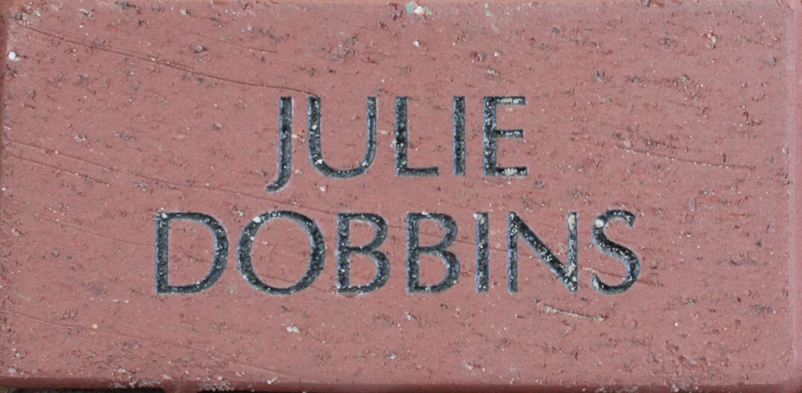 Julie Dobbins