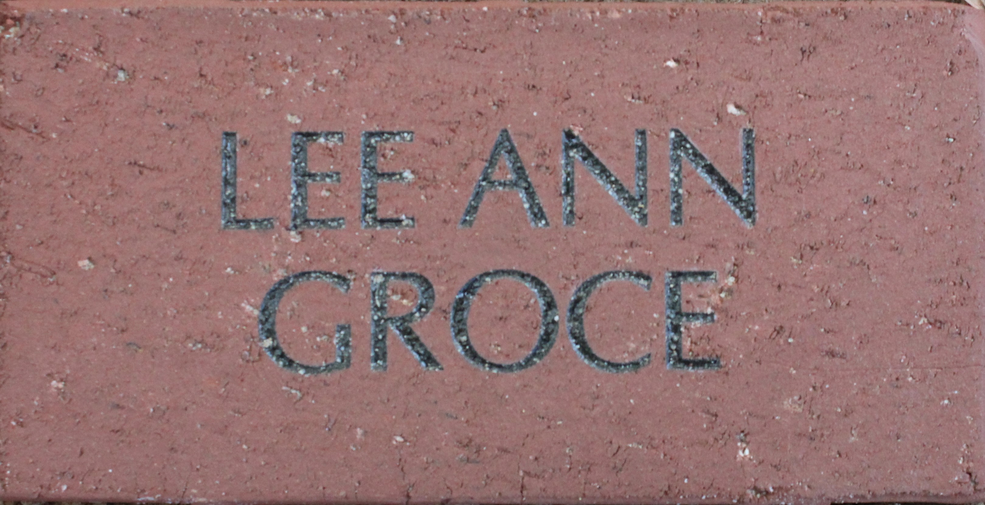 Lee Ann Groce