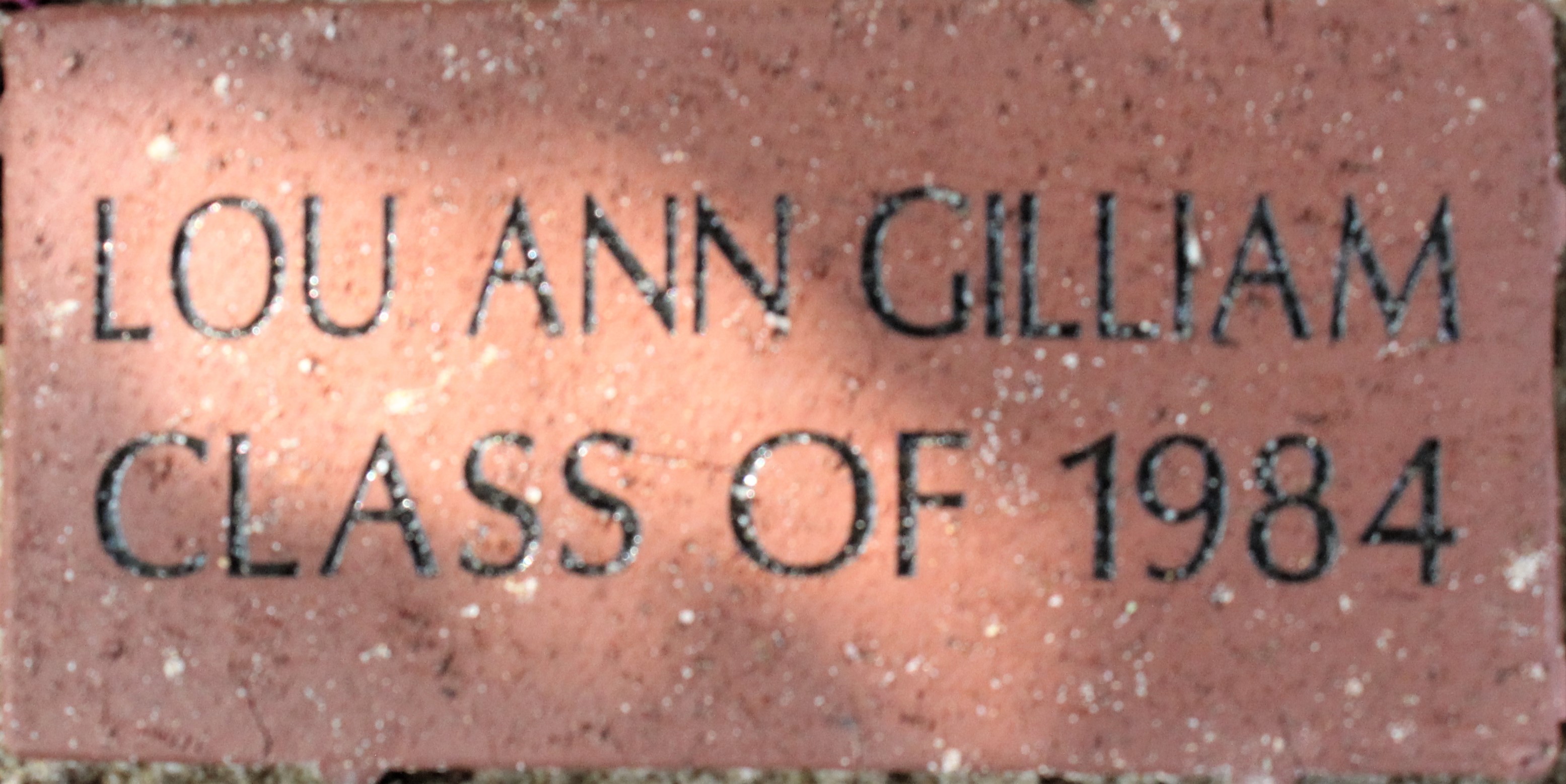 LOU ANN GILLIAM CLASS OF 1984