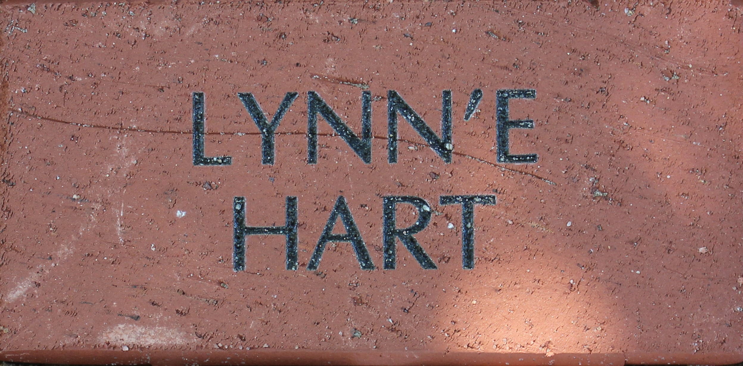 Lynn'e Hart