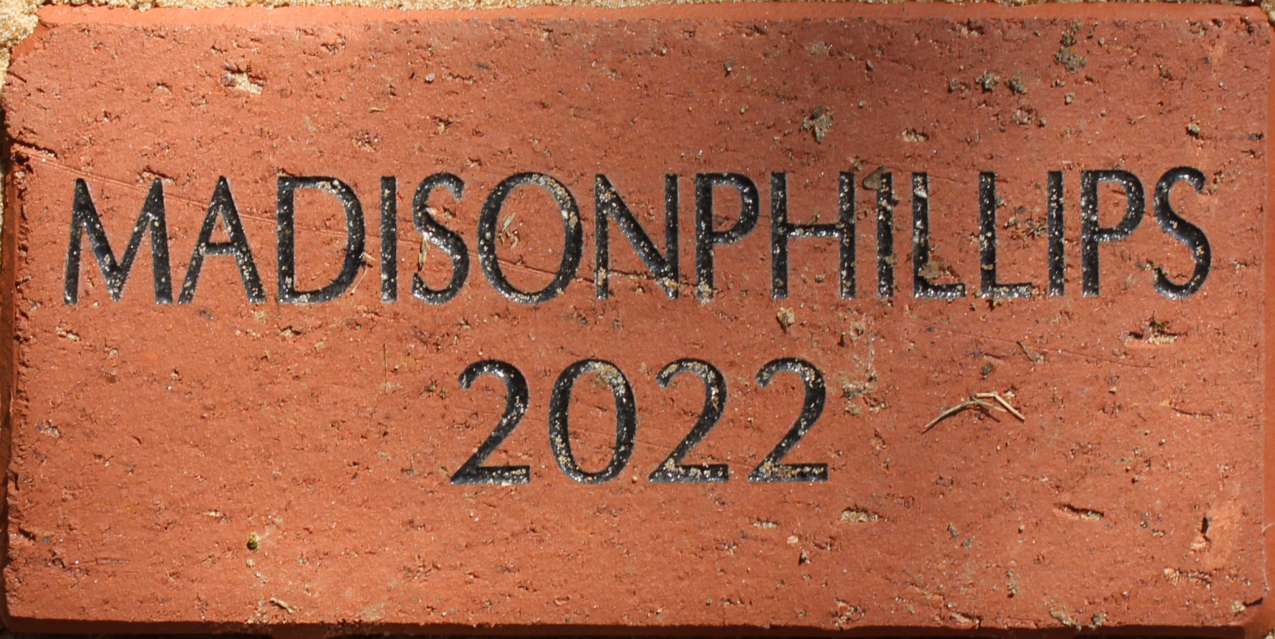 Madison Phillips 2022