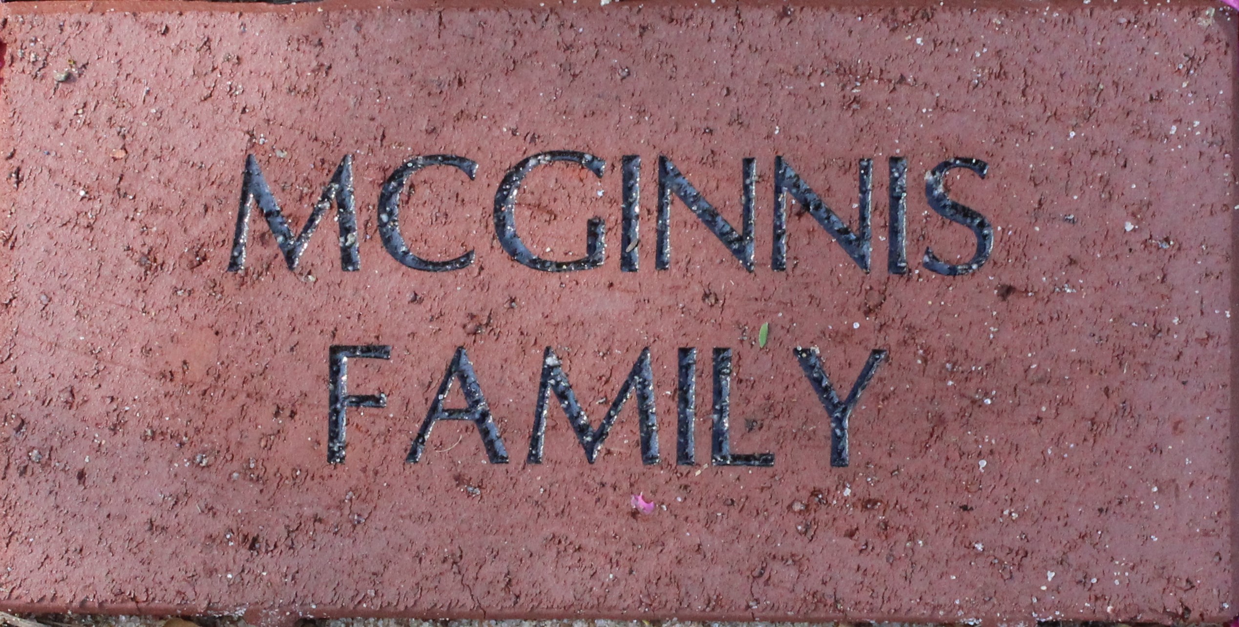 MCGINNIS  FAMILY