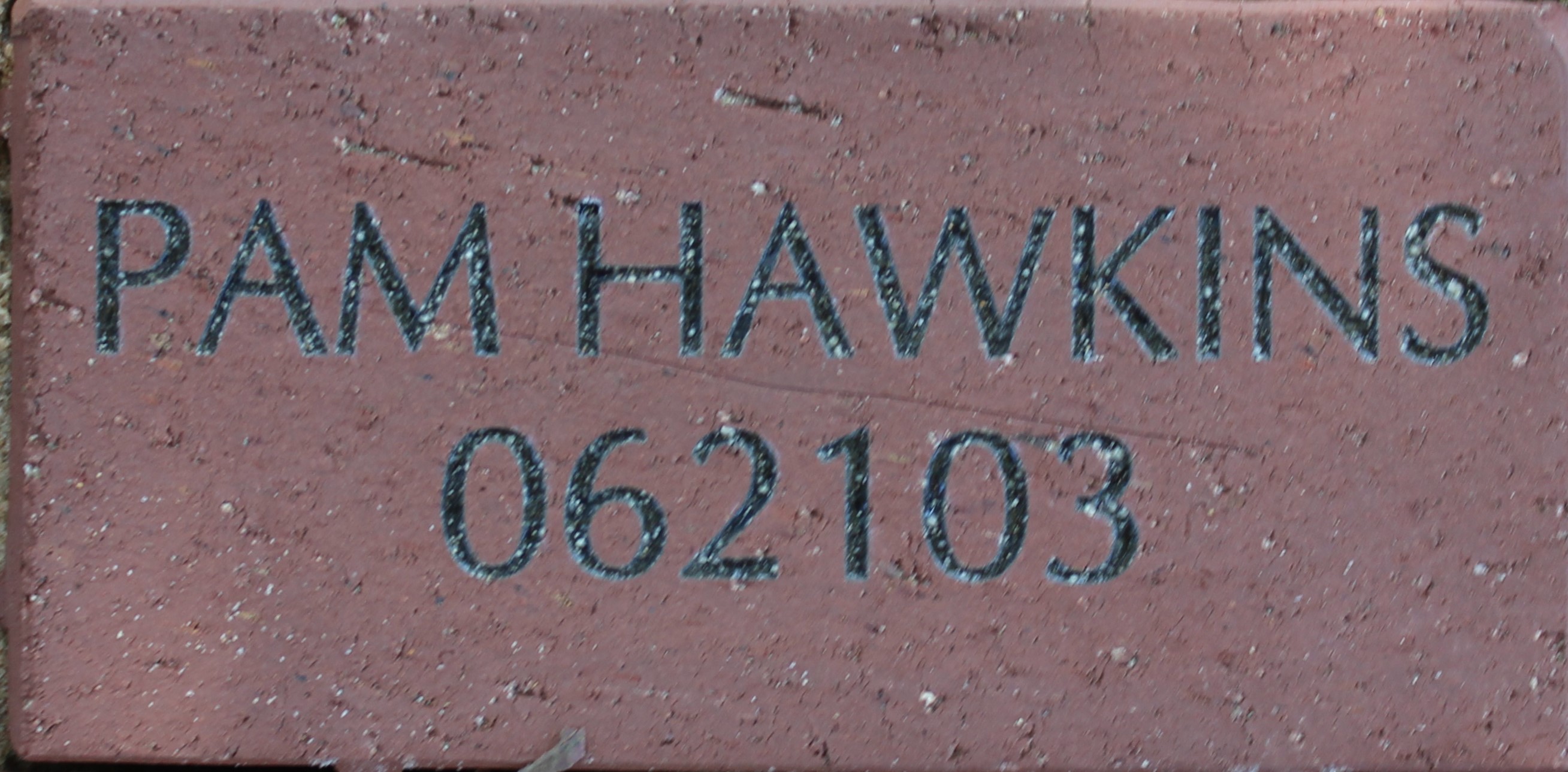 Pam Hawkins 62103