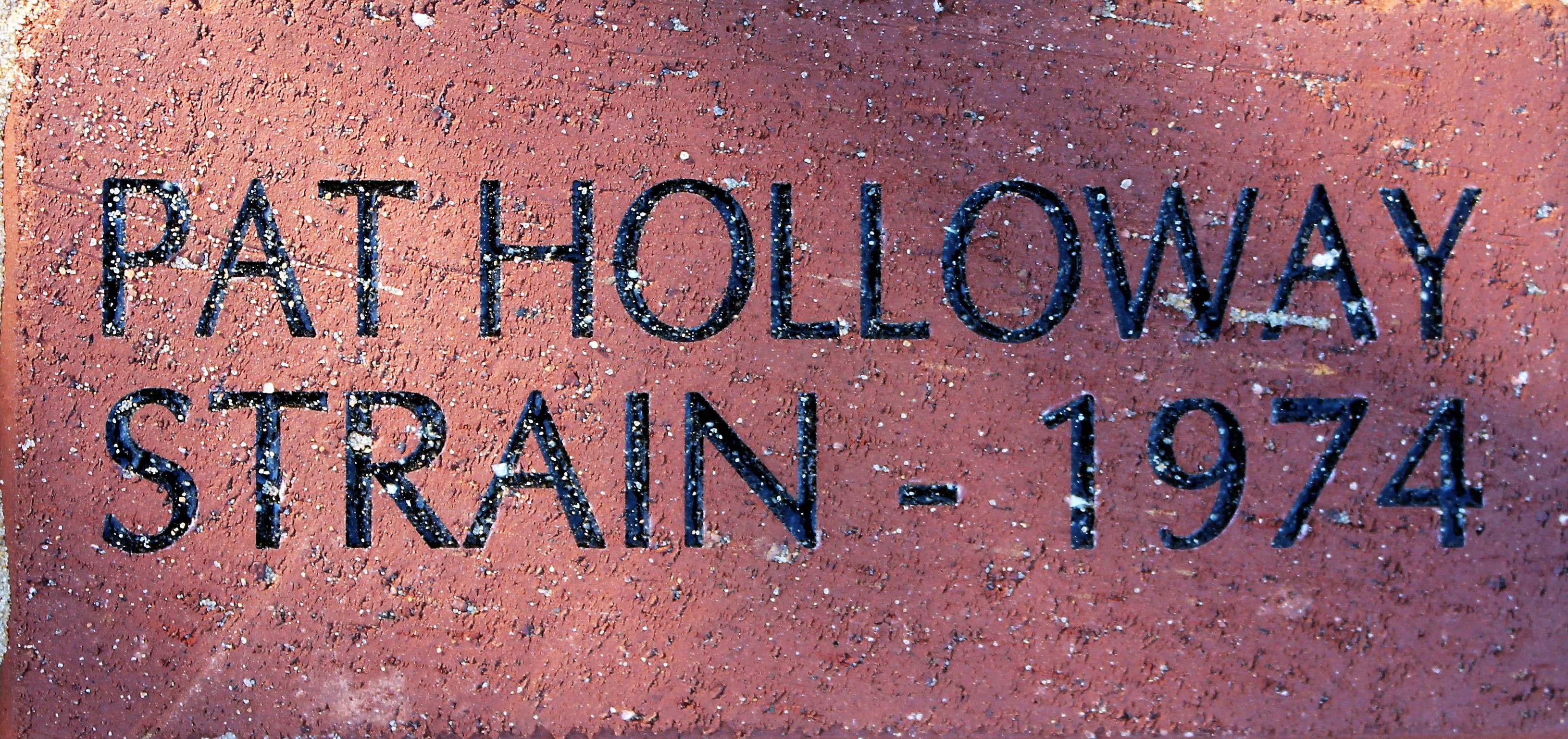 PAT HOLLOWAY STRAIN - 1974