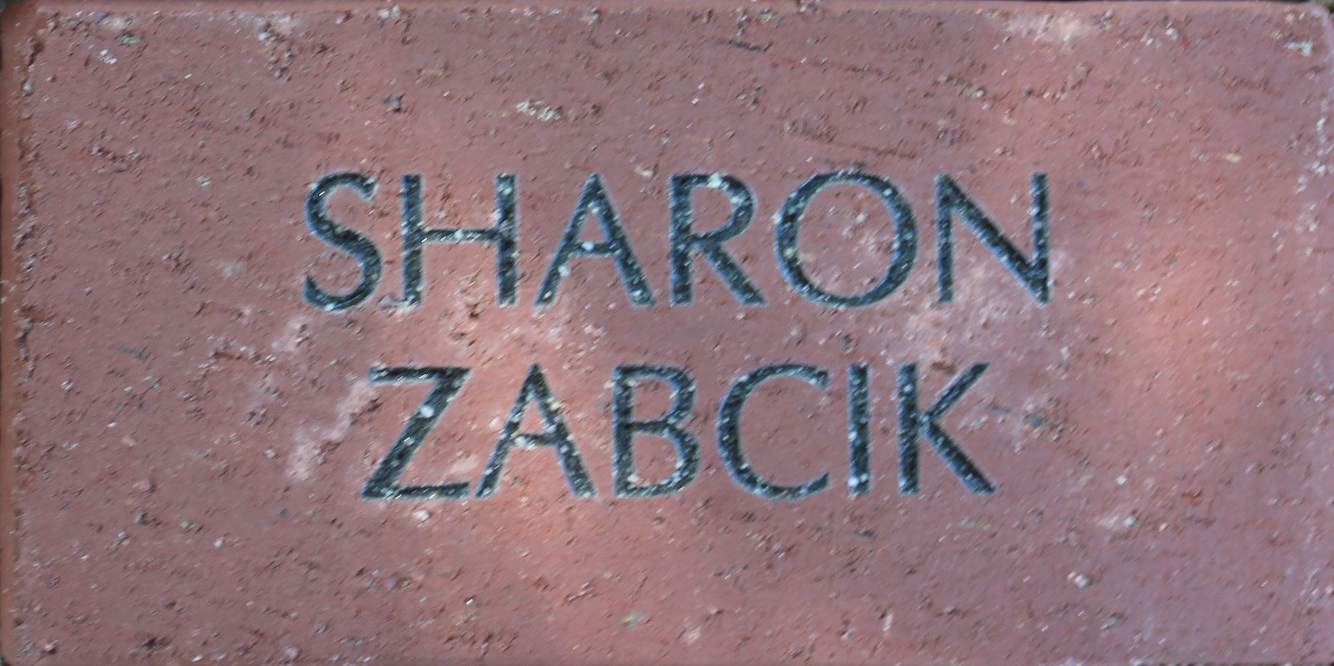 Sharon Zabcik
