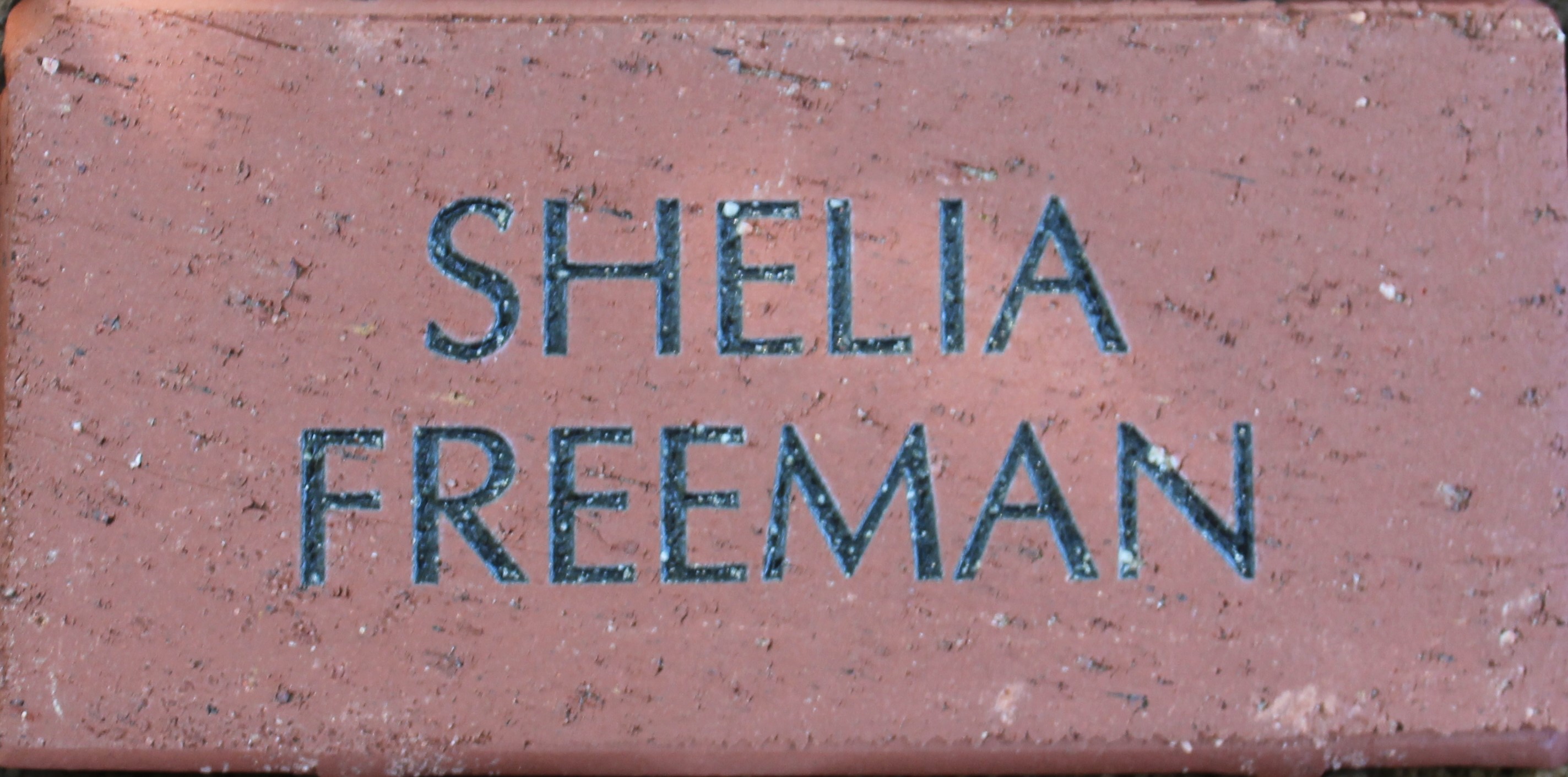 Shelia Freeman