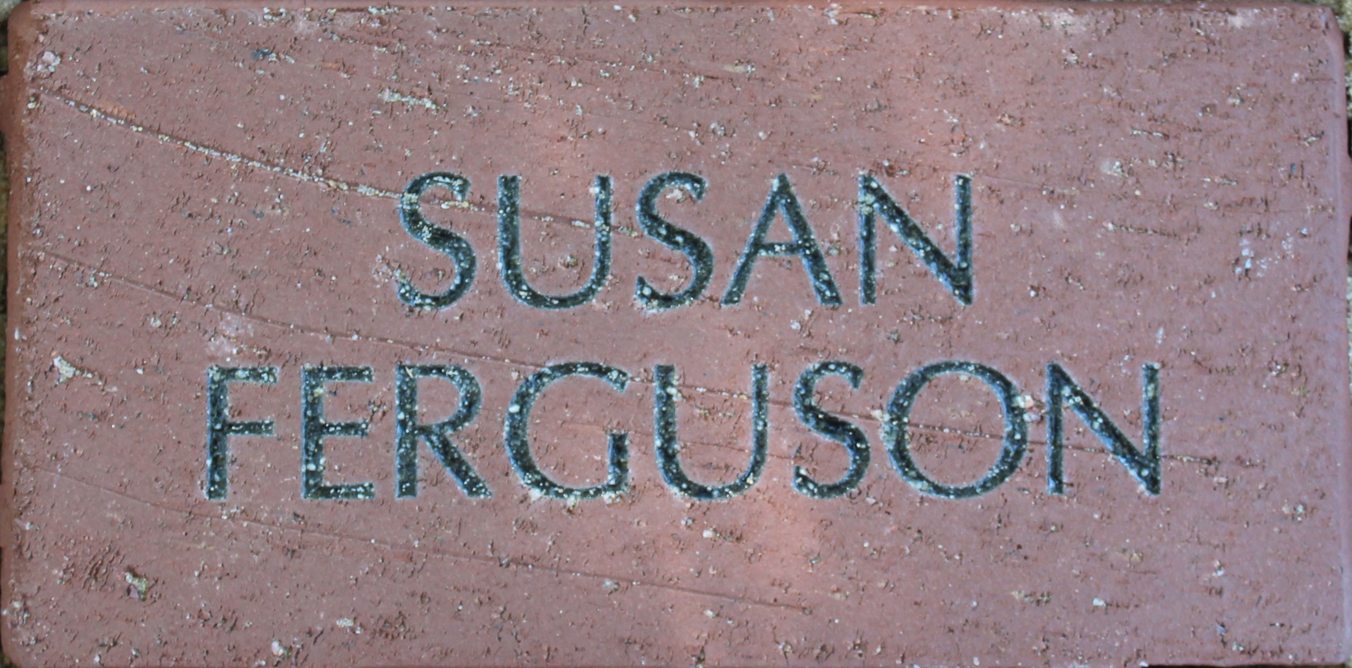 Susan Ferguson