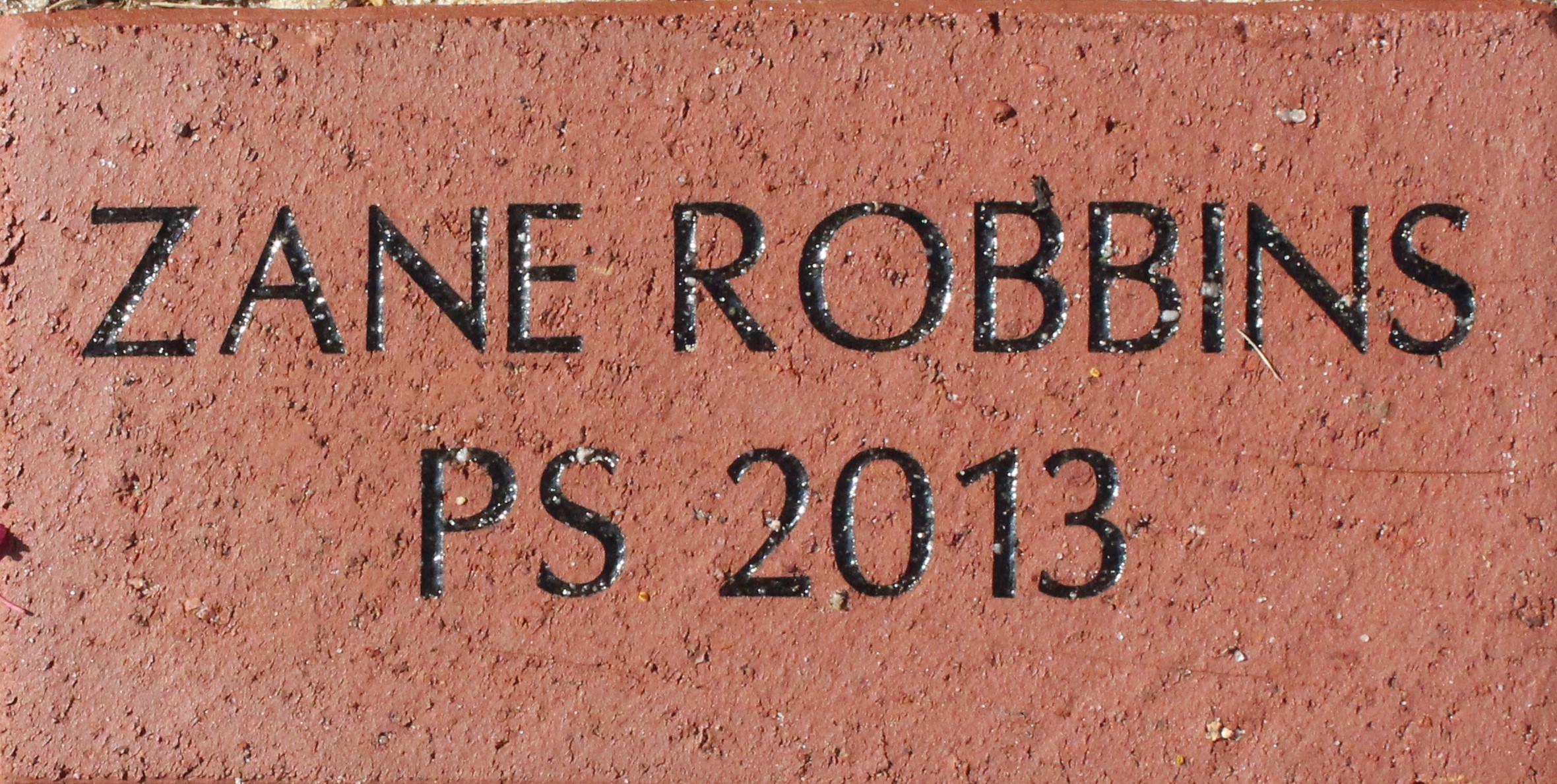 ZANE ROBBINS PS 2013